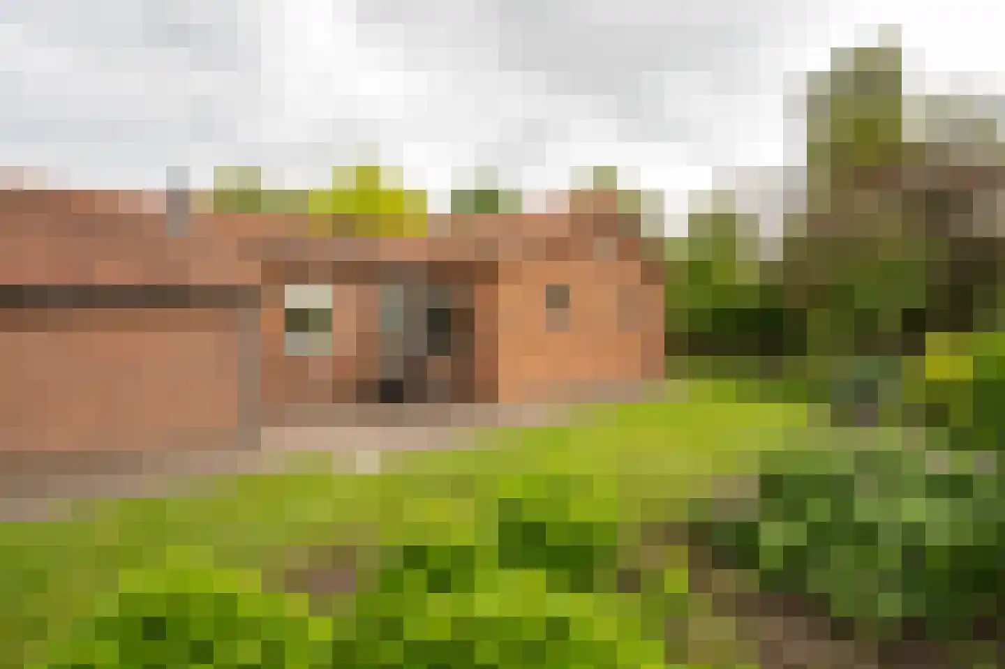 Tunnelweg 41 Geldermalsen thumbnail 39