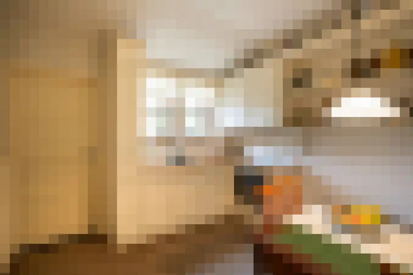 Tunnelweg 41 Geldermalsen thumbnail 4