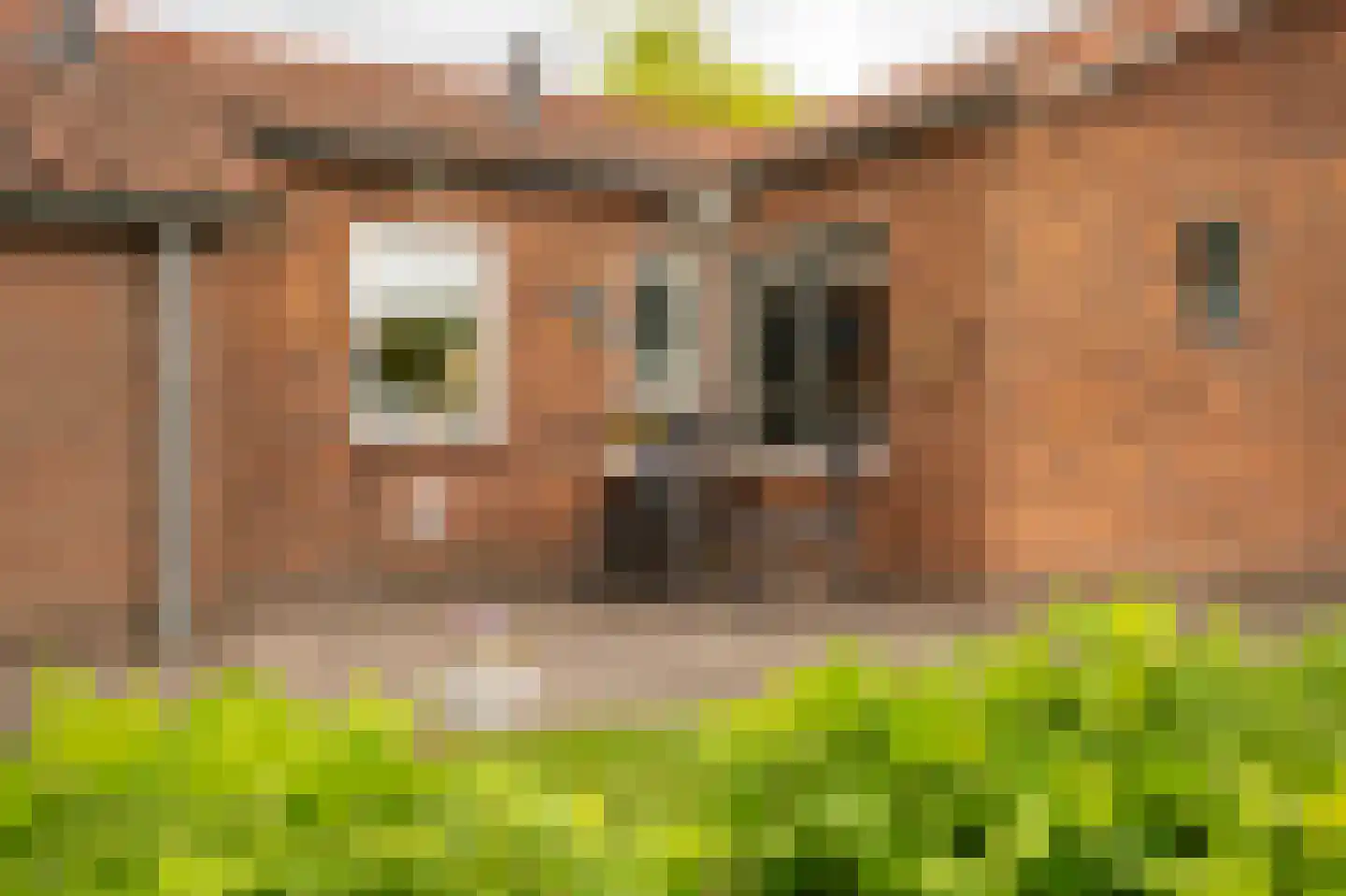 Tunnelweg 41 Geldermalsen thumbnail 40