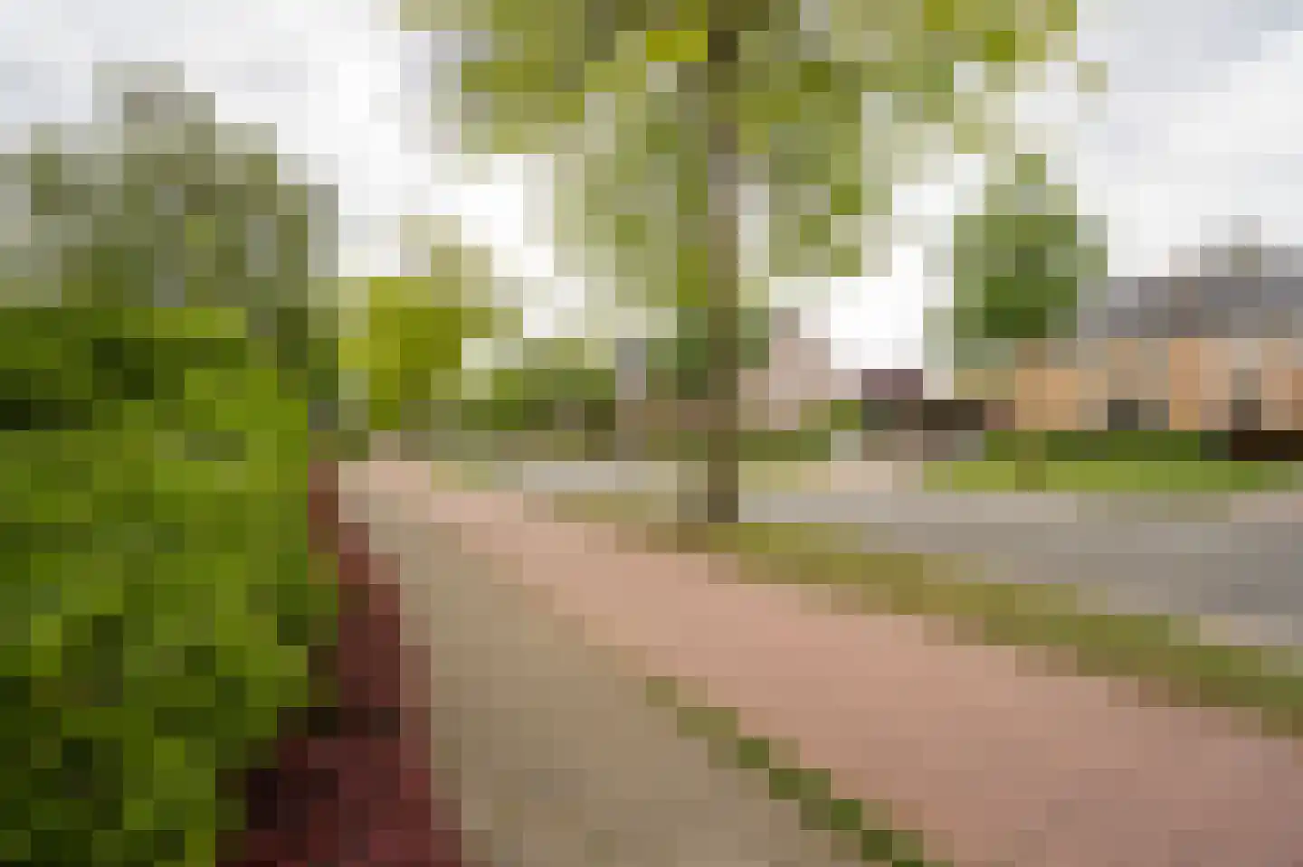 Tunnelweg 41 Geldermalsen thumbnail 44