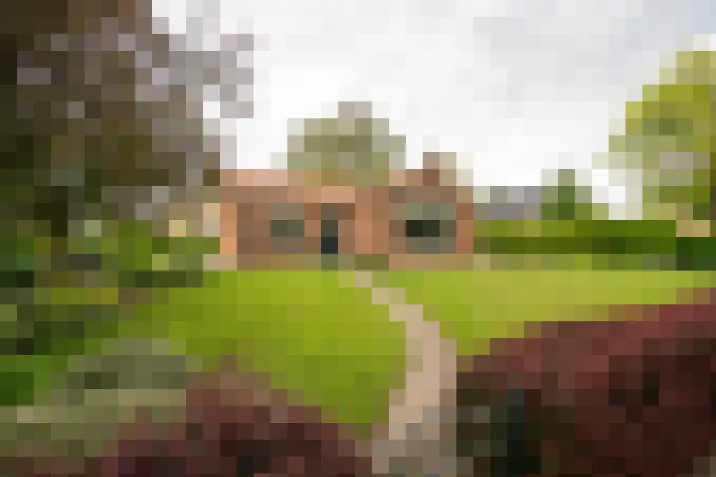 Tunnelweg 41 Geldermalsen thumbnail 5