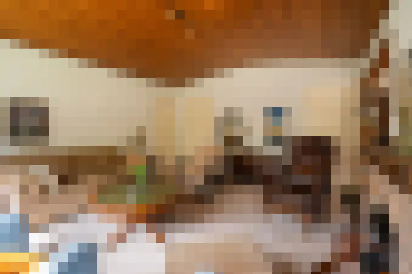 Tunnelweg 41 Geldermalsen thumbnail 8