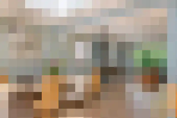 Tunnelweg 6 Geldermalsen thumbnail 11