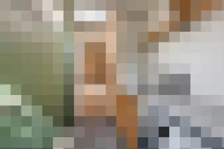 Tunnelweg 6 Geldermalsen thumbnail 16