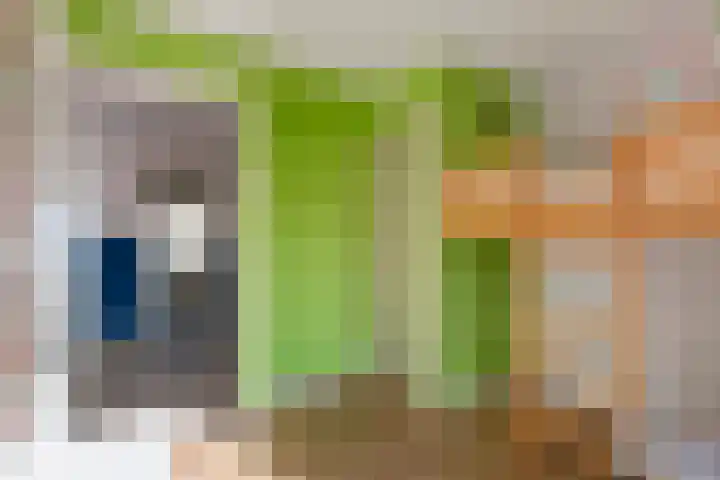 Tunnelweg 6 Geldermalsen thumbnail 18