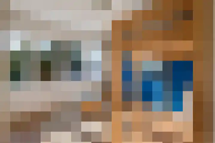 Tunnelweg 6 Geldermalsen thumbnail 19