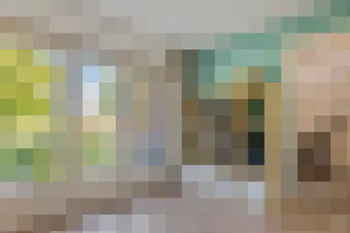 Tunnelweg 6 Geldermalsen thumbnail 22