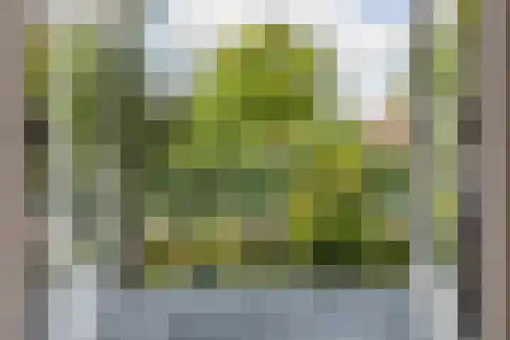 Tunnelweg 6 Geldermalsen thumbnail 23