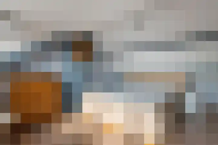 Tunnelweg 6 Geldermalsen thumbnail 31