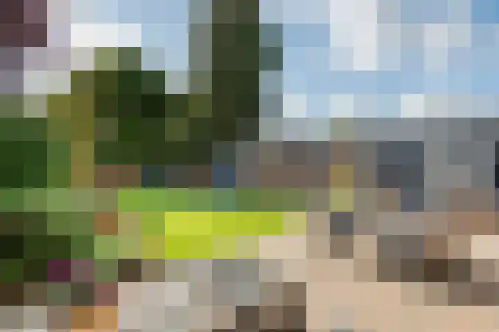 Tunnelweg 6 Geldermalsen thumbnail 33