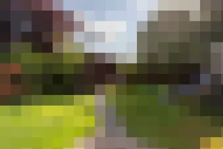 Tunnelweg 6 Geldermalsen thumbnail 34