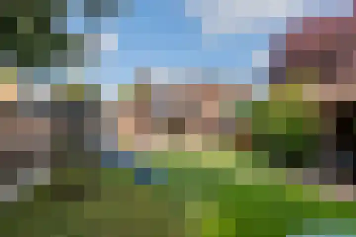 Tunnelweg 6 Geldermalsen thumbnail 35