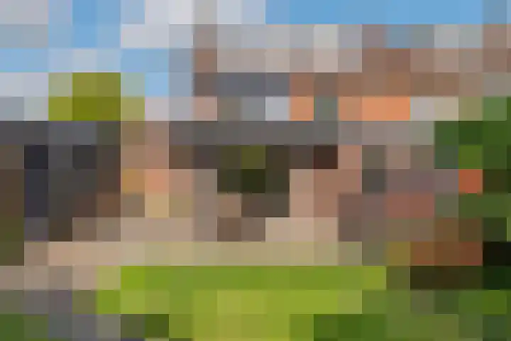 Tunnelweg 6 Geldermalsen thumbnail 37