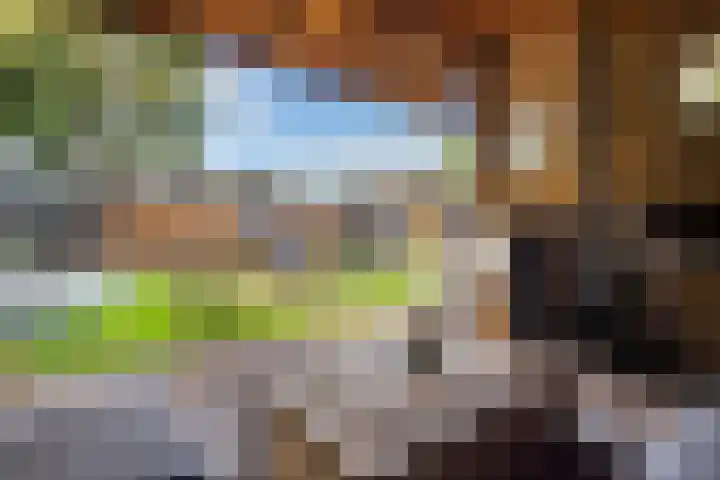 Tunnelweg 6 Geldermalsen thumbnail 40
