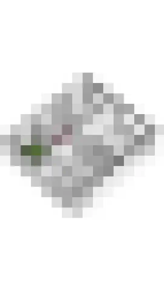 Tunnelweg 6 Geldermalsen thumbnail 46