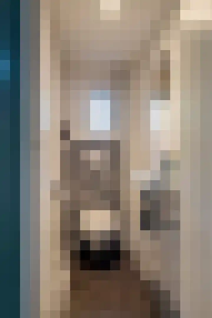 Tunnelweg 6 Geldermalsen thumbnail 5