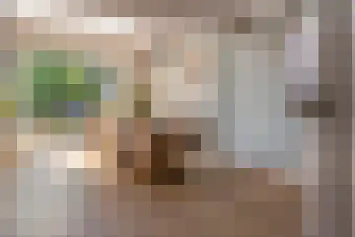 Tunnelweg 6 Geldermalsen thumbnail 6