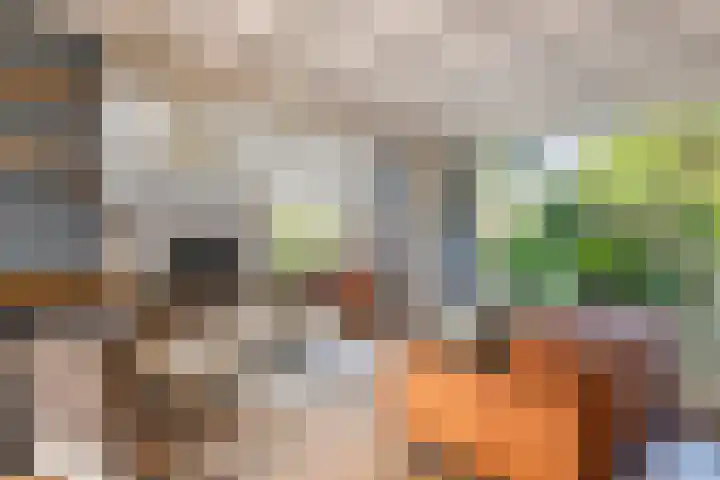 Tunnelweg 6 Geldermalsen thumbnail 7