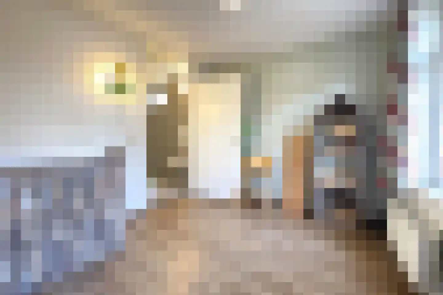Tunnelweg 7 101 Haarle thumbnail 10