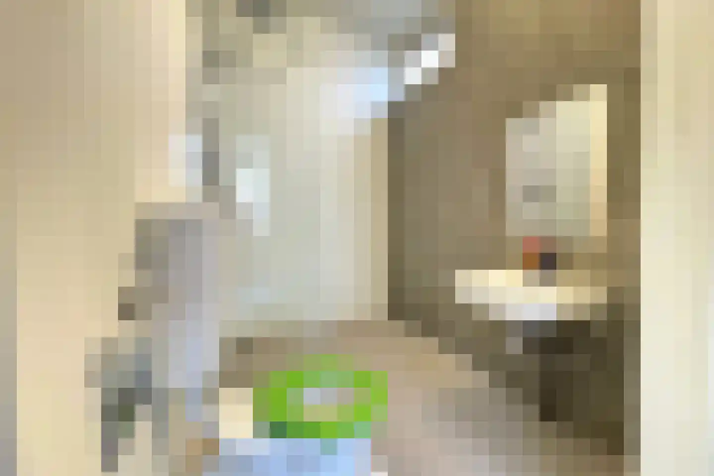 Tunnelweg 7 101 Haarle thumbnail 11