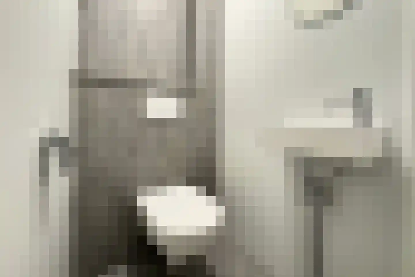 Tunnelweg 7 101 Haarle thumbnail 12