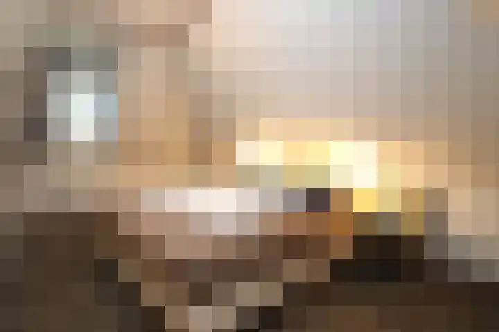 Tunnelweg 7 101 Haarle thumbnail 13