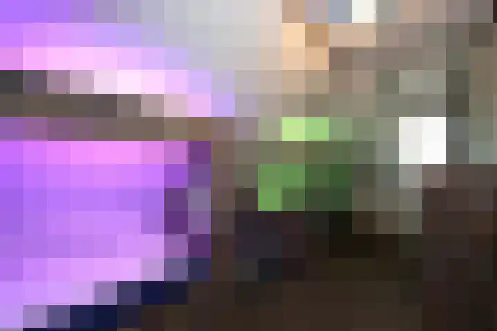 Tunnelweg 7 101 Haarle thumbnail 15