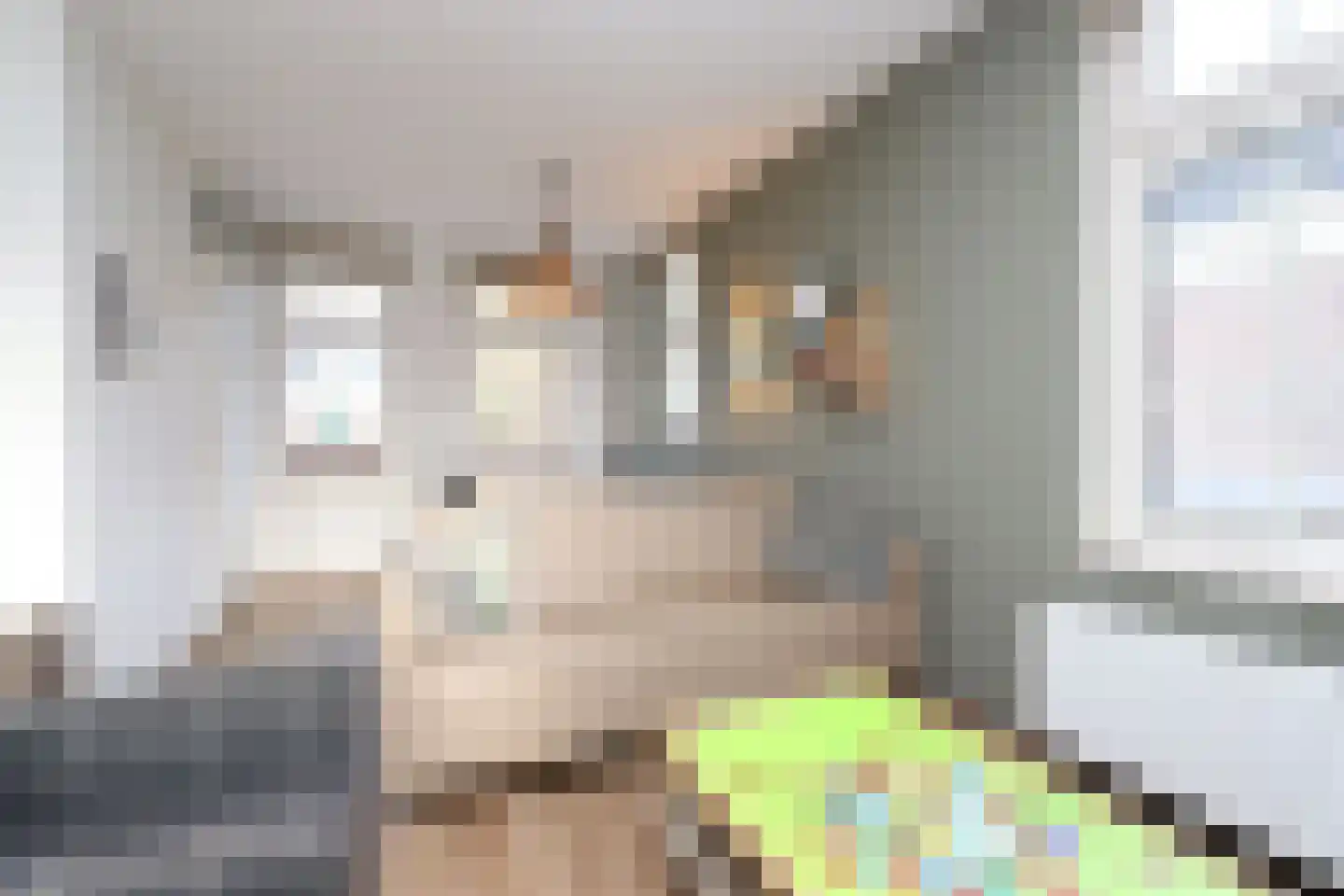 Tunnelweg 7 101 Haarle thumbnail 7