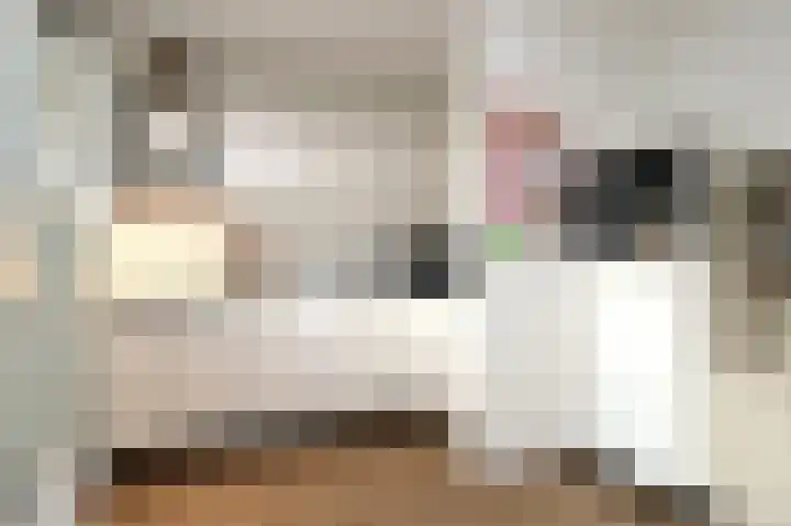Tunnelweg 7 101 Haarle thumbnail 9