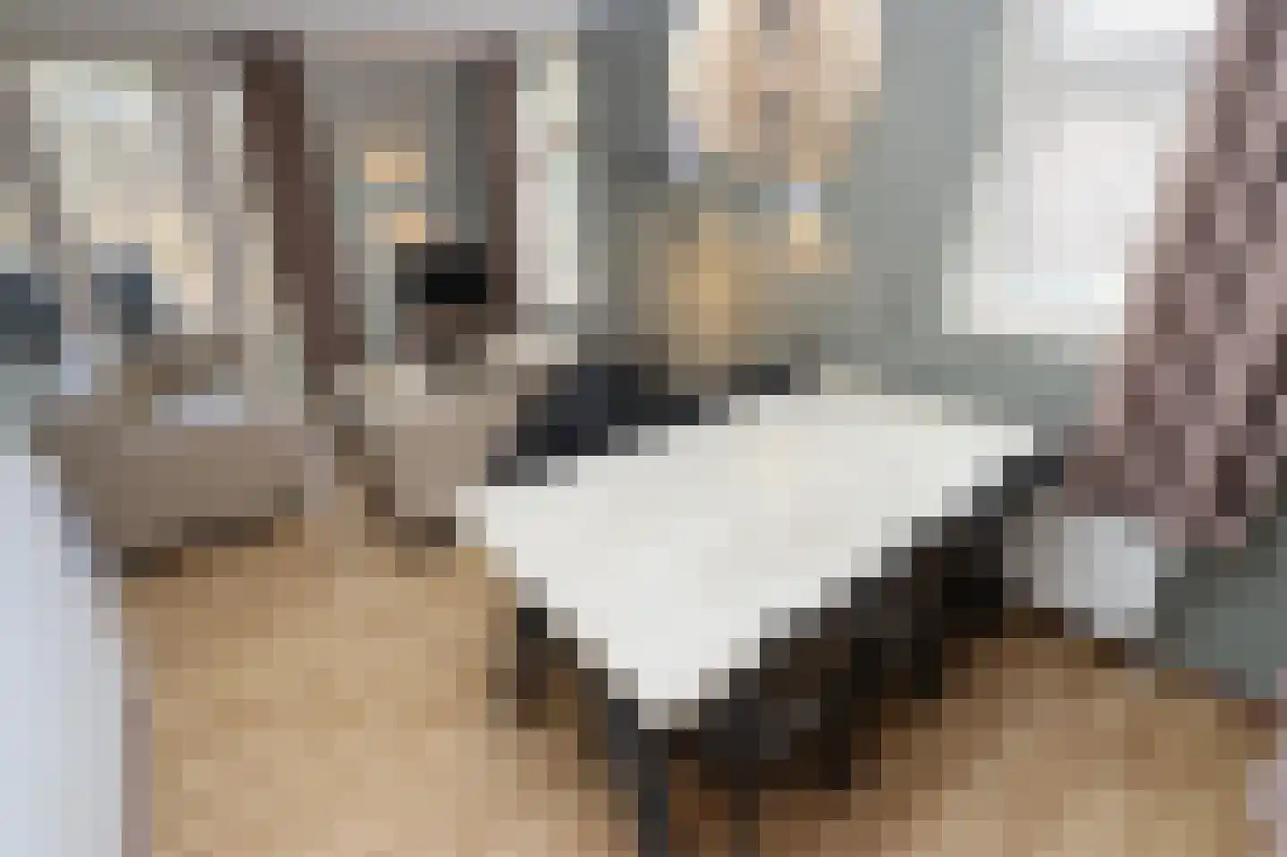 Tunnelweg 7 106 Haarle thumbnail 10
