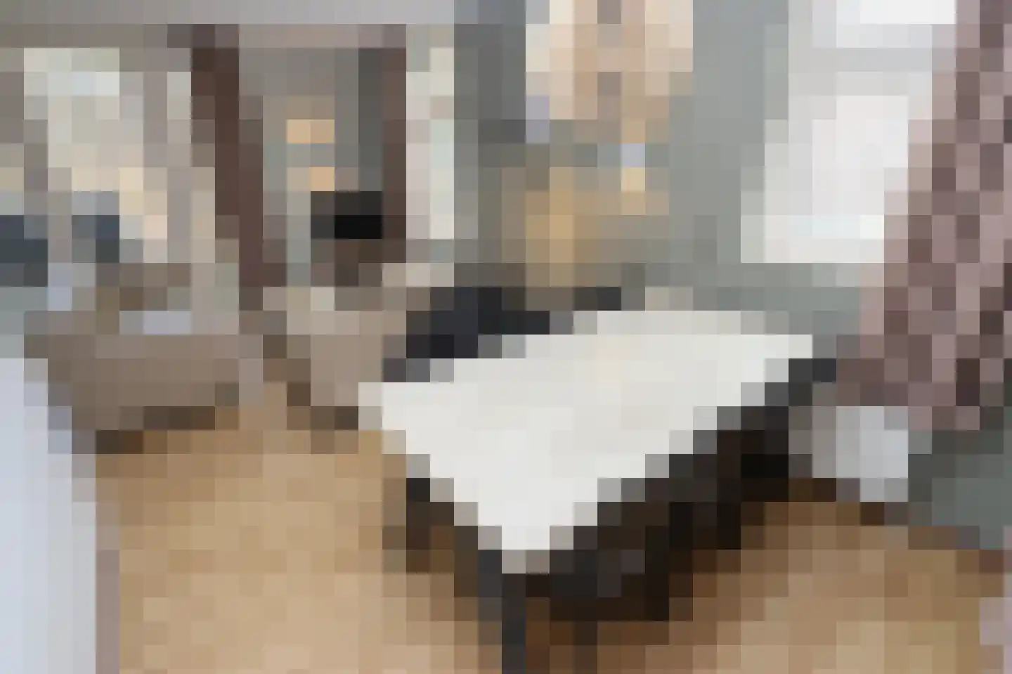 Tunnelweg 7 106 Haarle thumbnail 10