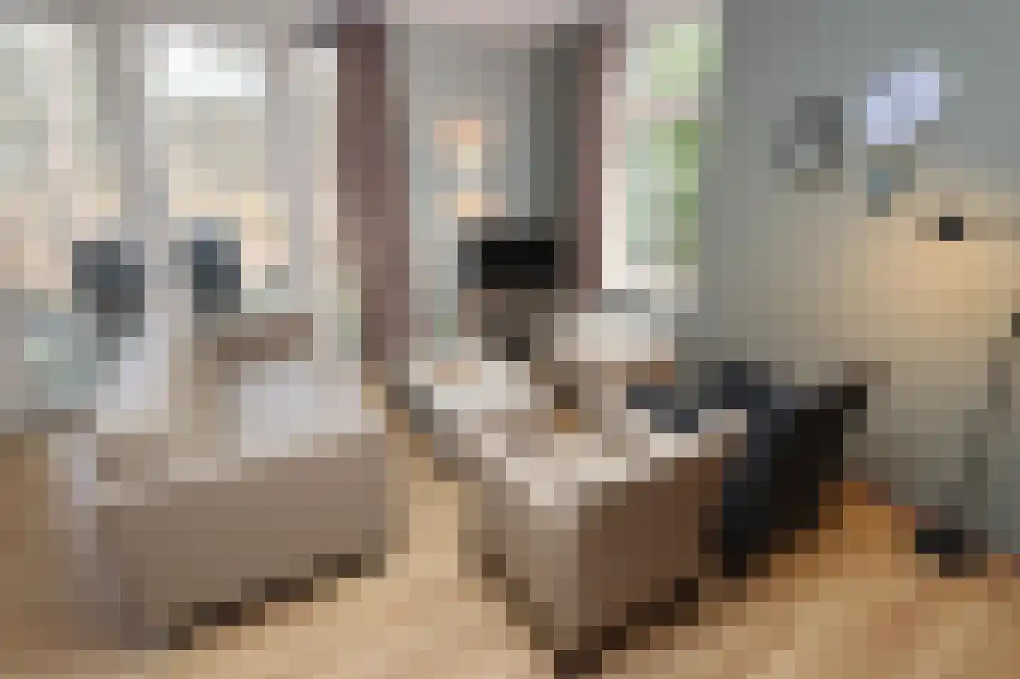 Tunnelweg 7 106 Haarle thumbnail 11