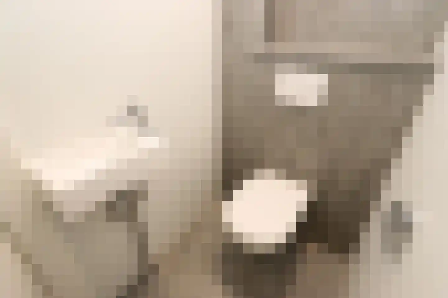 Tunnelweg 7 106 Haarle thumbnail 15