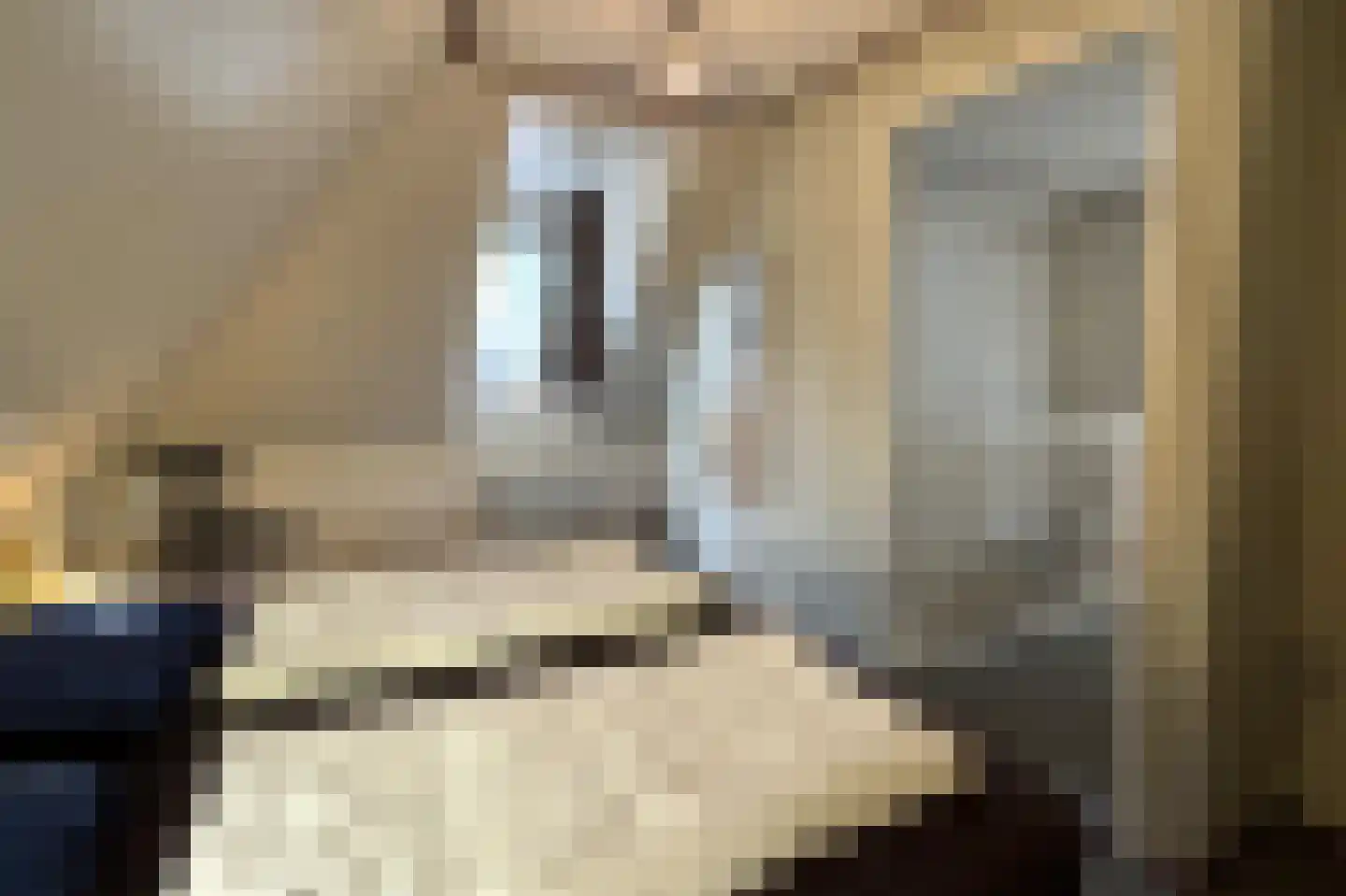 Tunnelweg 7 106 Haarle thumbnail 16