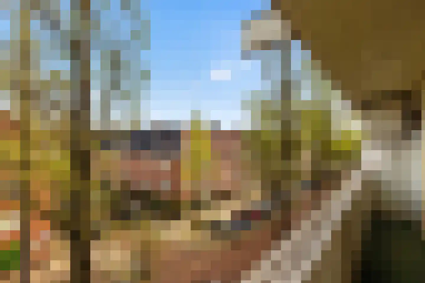 Tunnelweg 7 106 Haarle thumbnail 4