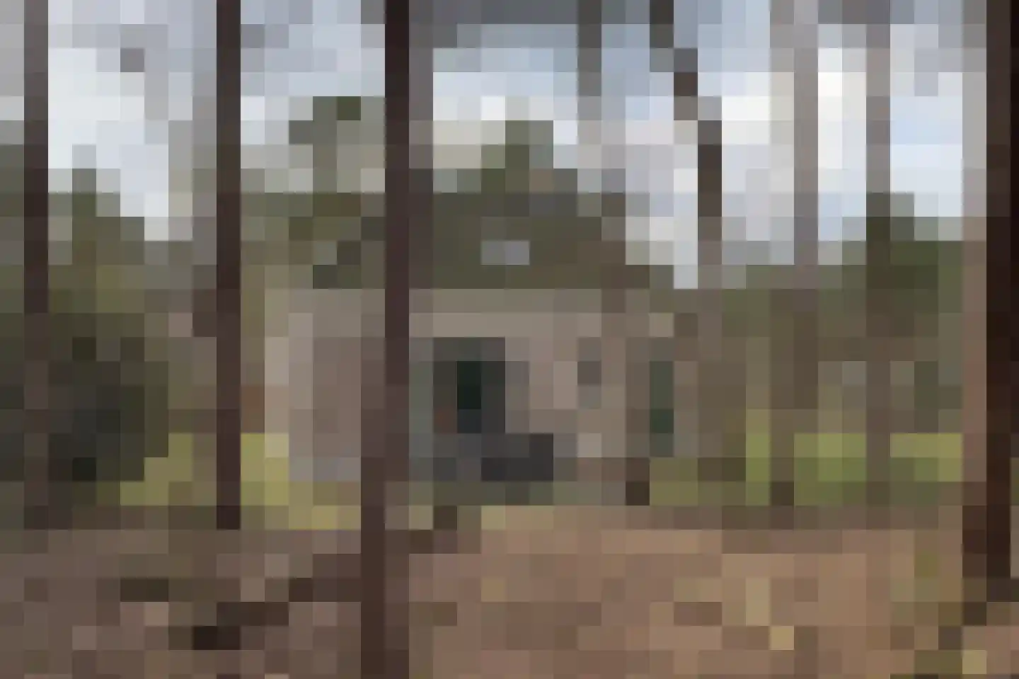 Tunnelweg 7 106 Haarle thumbnail 5