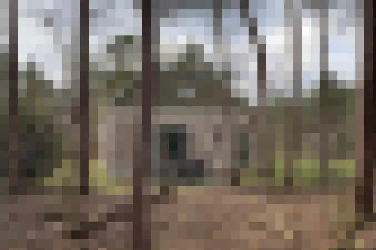 Tunnelweg 7 106 Haarle thumbnail 5