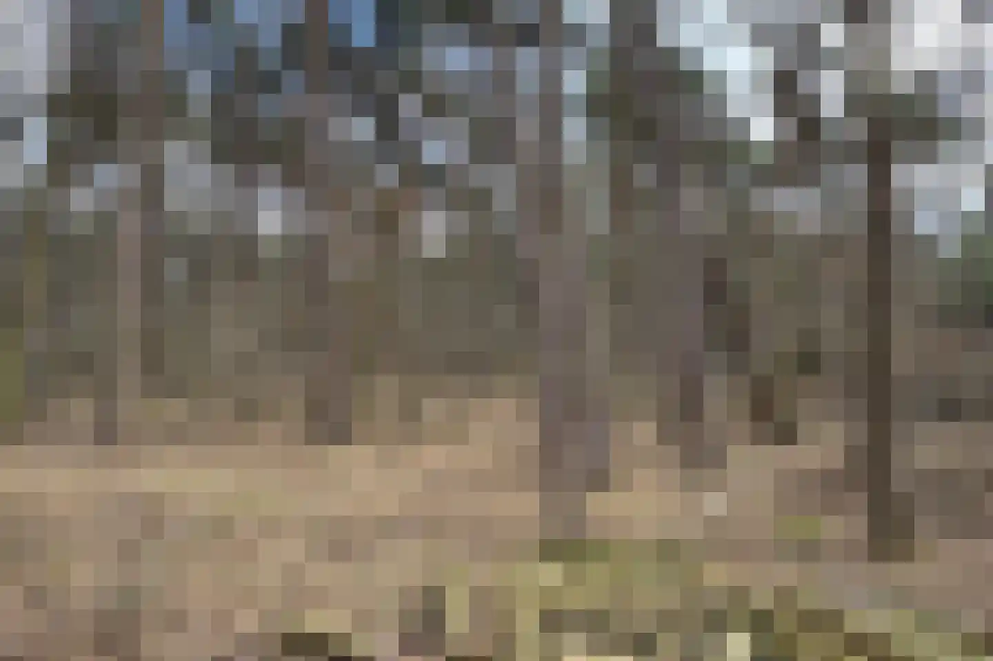 Tunnelweg 7 106 Haarle thumbnail 6