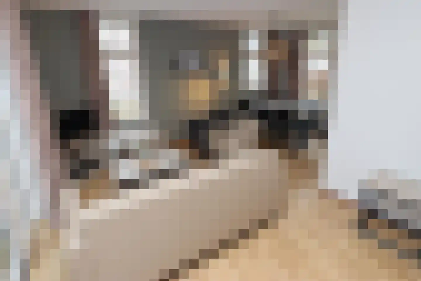 Tunnelweg 7 106 Haarle thumbnail 9