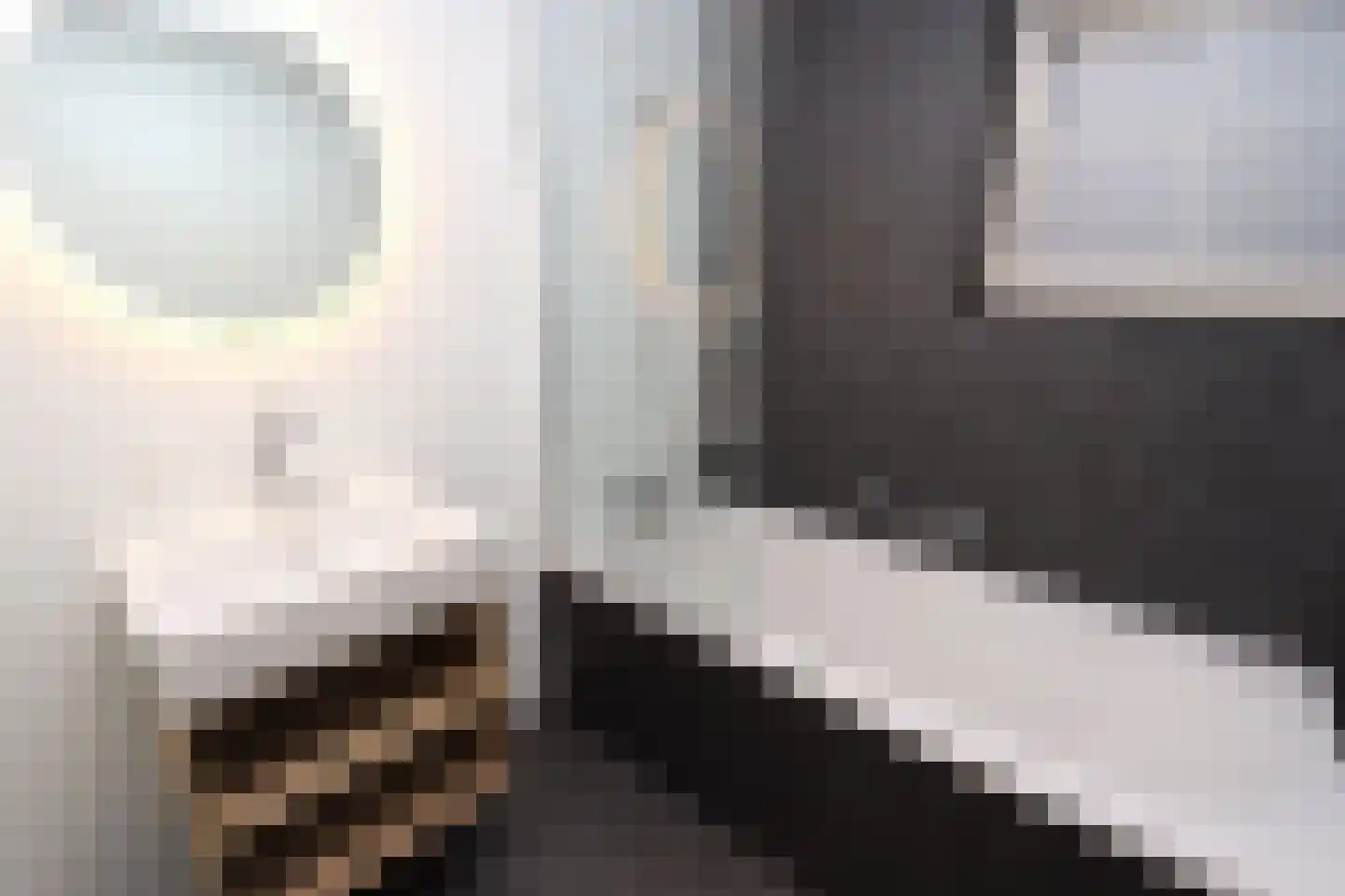 Tunnelweg 7 108 Haarle thumbnail 11