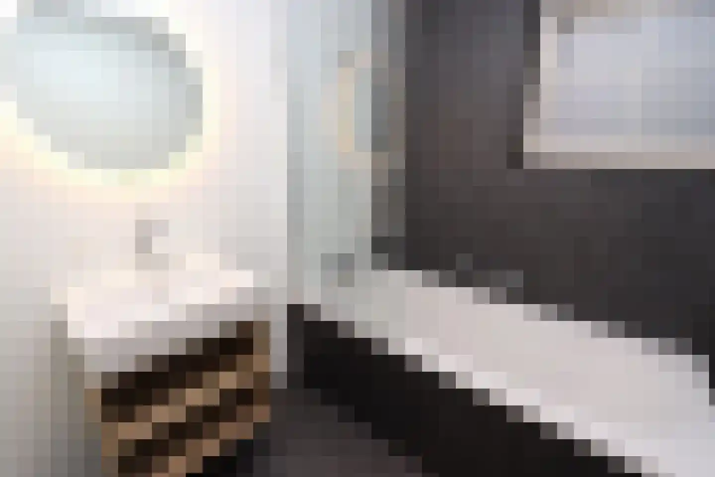 Tunnelweg 7 108 Haarle thumbnail 11