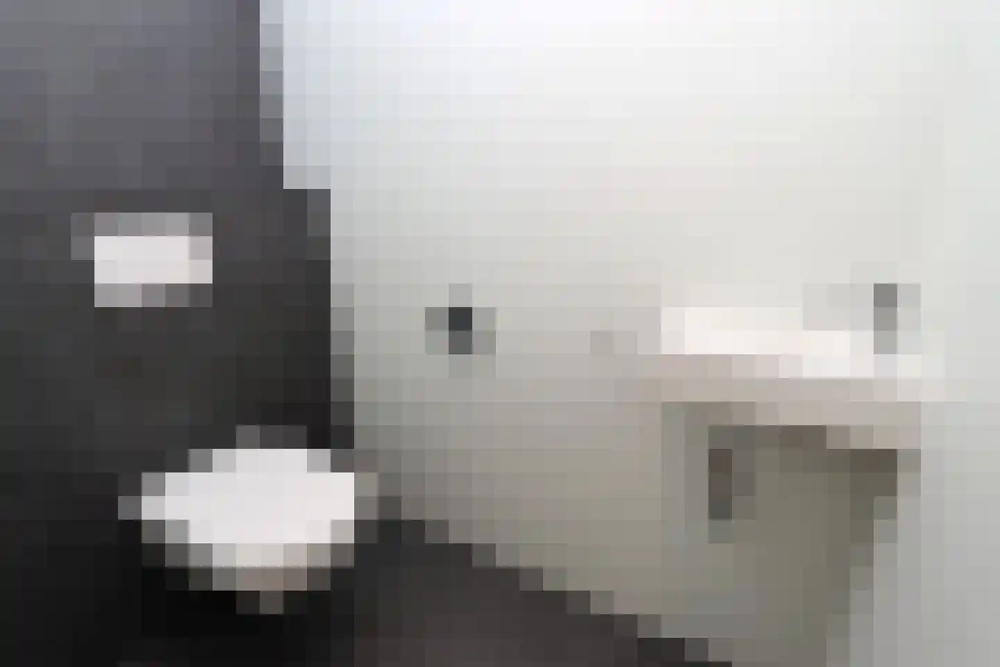 Tunnelweg 7 108 Haarle thumbnail 12