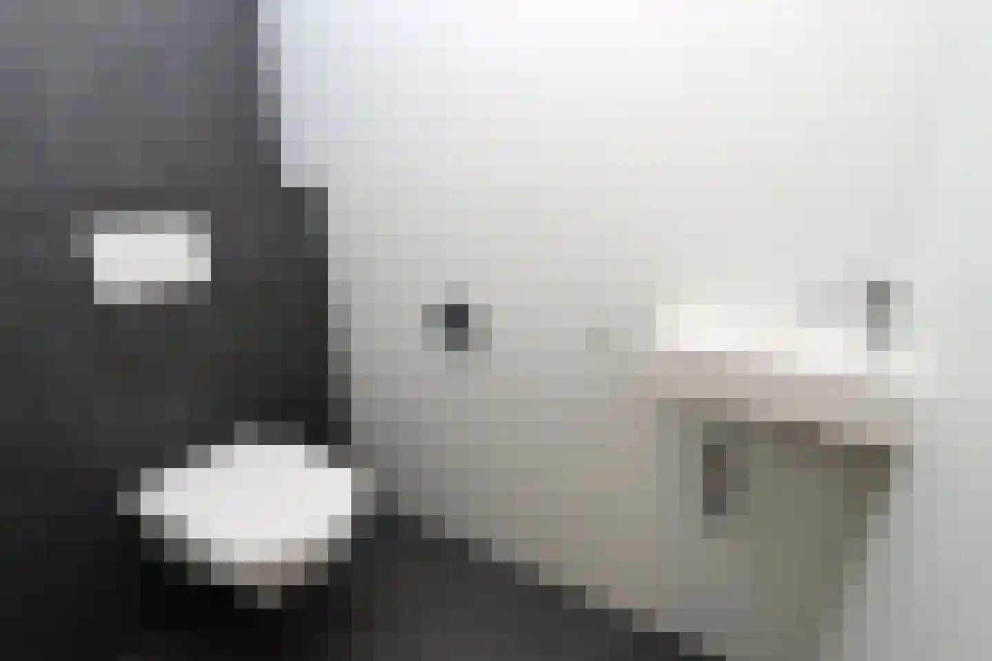 Tunnelweg 7 108 Haarle thumbnail 12