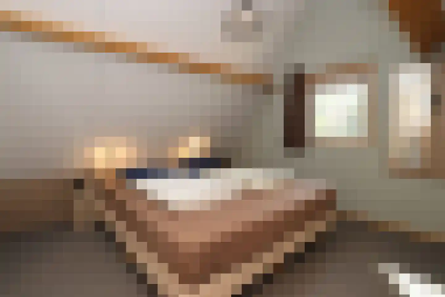 Tunnelweg 7 108 Haarle thumbnail 13