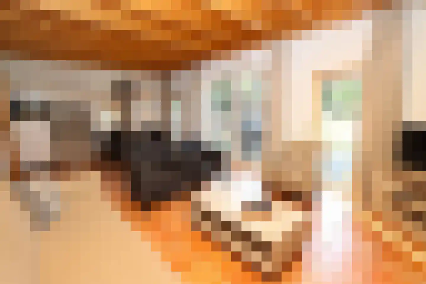 Tunnelweg 7 108 Haarle thumbnail 5