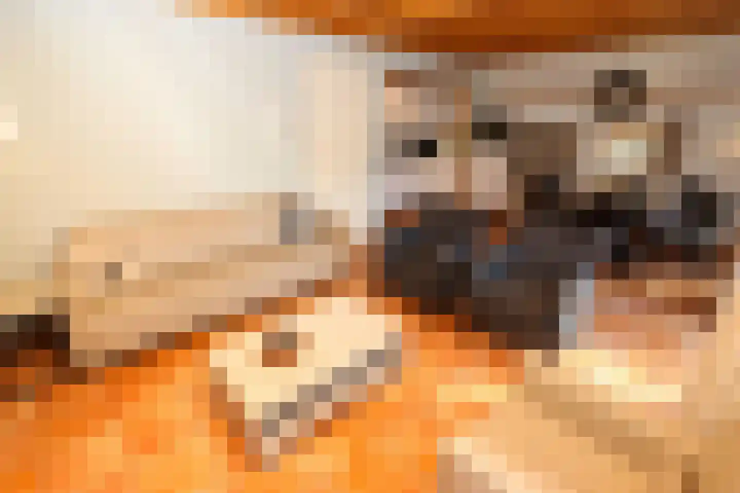 Tunnelweg 7 108 Haarle thumbnail 6