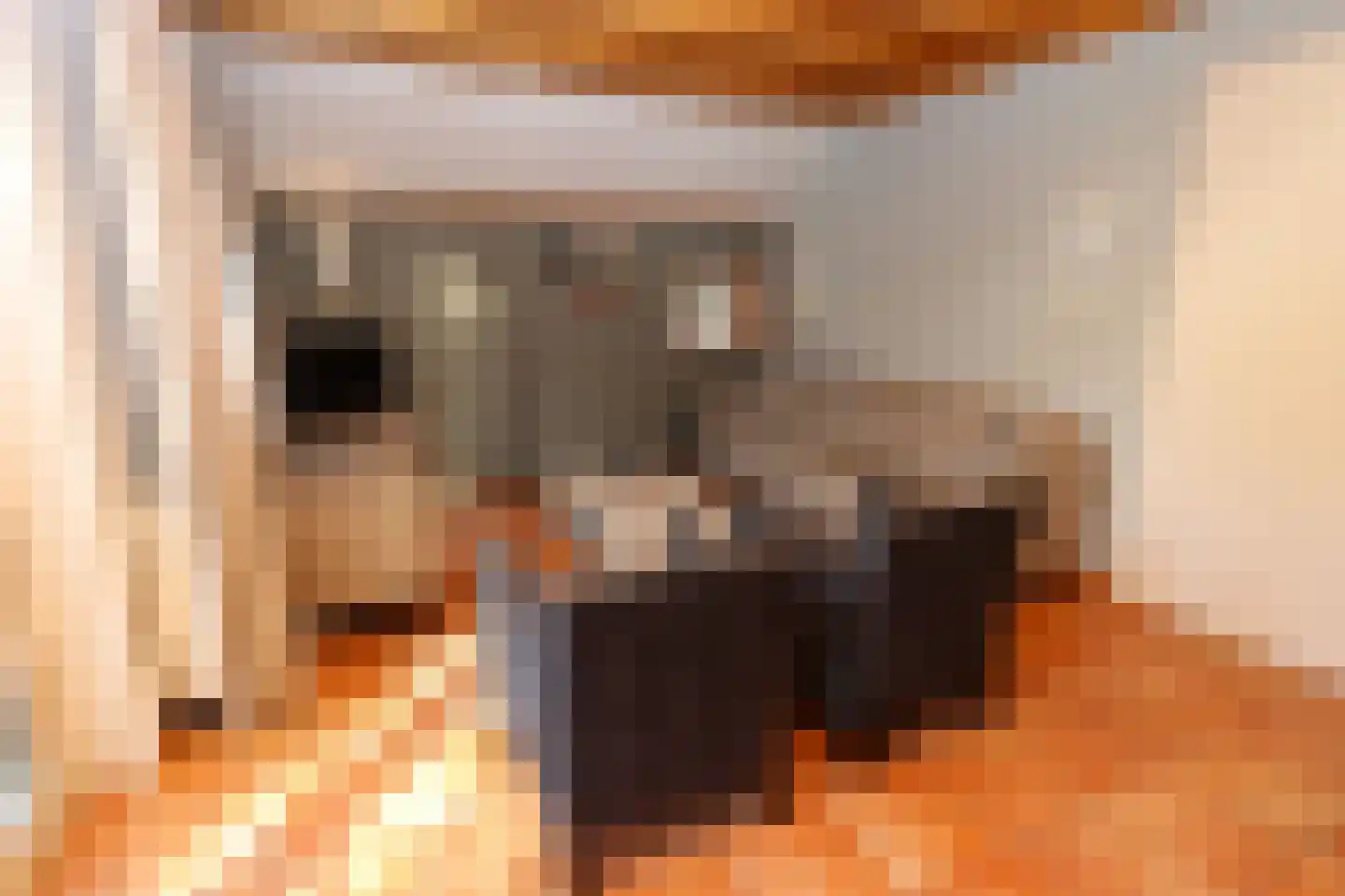 Tunnelweg 7 108 Haarle thumbnail 7