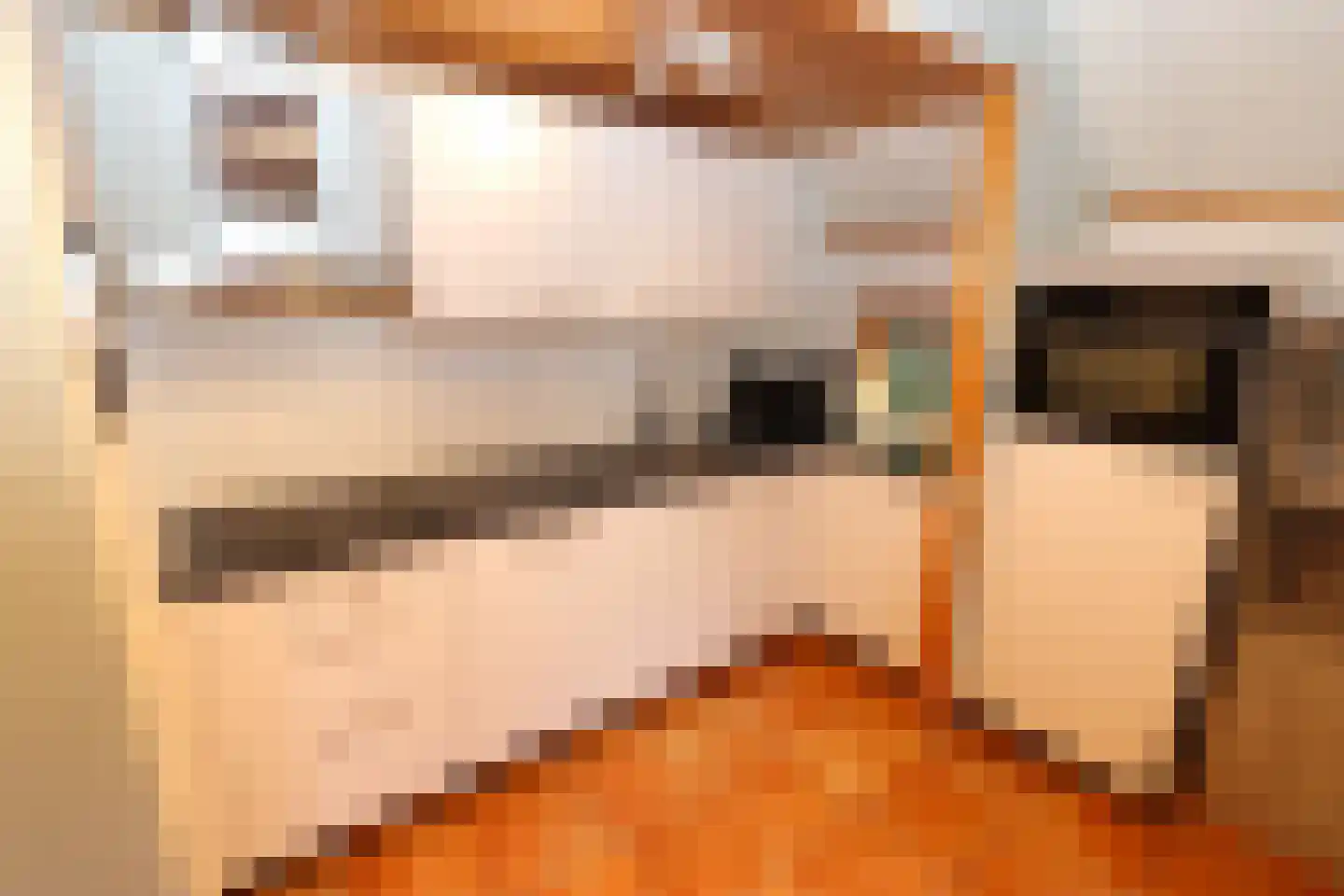 Tunnelweg 7 108 Haarle thumbnail 9