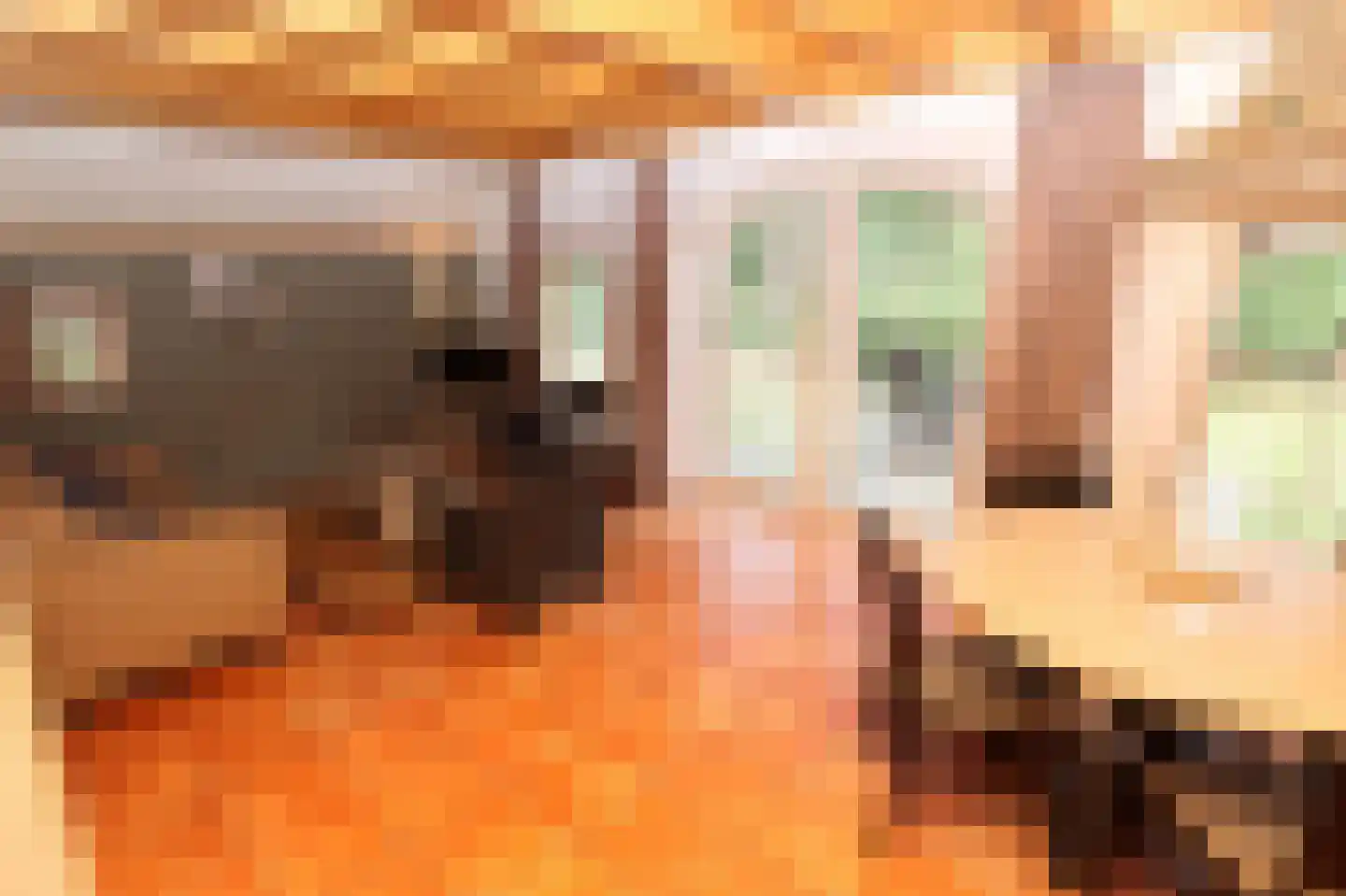 Tunnelweg 7 110 Haarle thumbnail 10