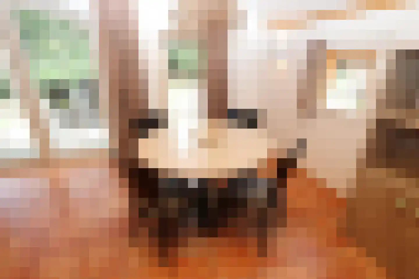 Tunnelweg 7 110 Haarle thumbnail 11